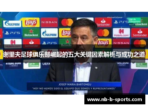 谢里夫足球俱乐部崛起的五大关键因素解析与成功之道 谢里夫足球俱乐部崛起的五大关键因素解析与成功之道