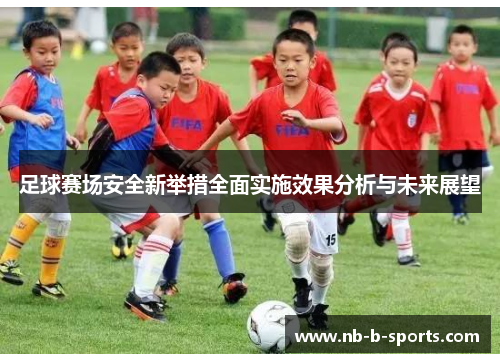 足球赛场安全新举措全面实施效果分析与未来展望