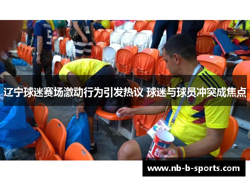 辽宁球迷赛场激动行为引发热议 球迷与球员冲突成焦点