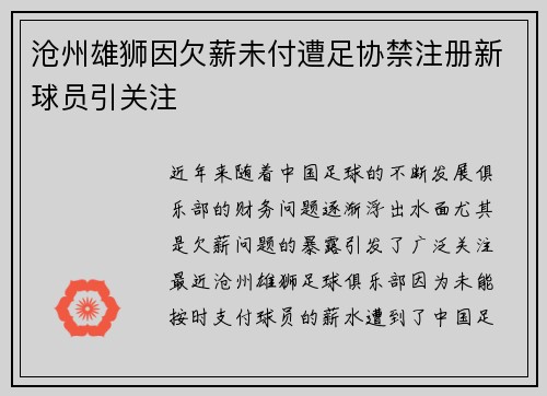 沧州雄狮因欠薪未付遭足协禁注册新球员引关注 沧州雄狮因欠薪未付遭足协禁注册新球员引关注